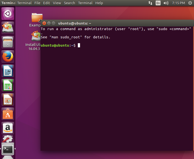 Ubuntu desktop environment with a terminal emulator
running.