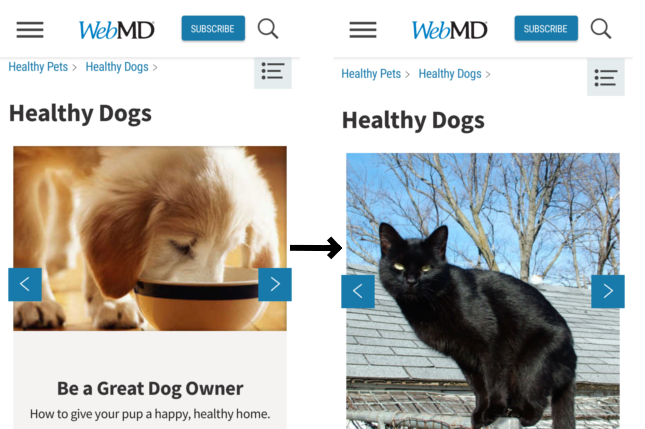 WebMD before and after images are replaced with a
cat.