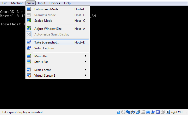 Screenshot showing the VirtualBox Input
menu
